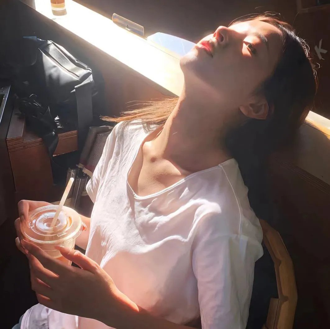 观鸟人全指南 在线观看